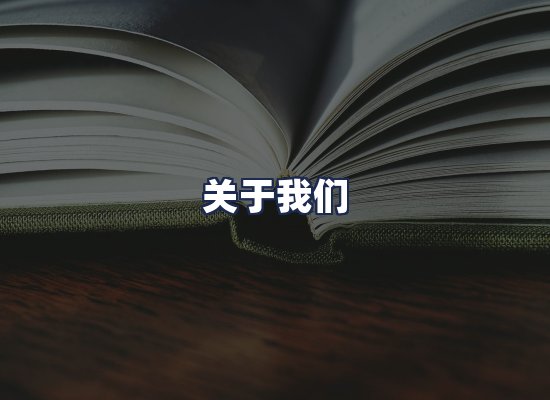 关于我们